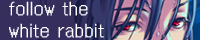 follow the white rabiit �o�i�[